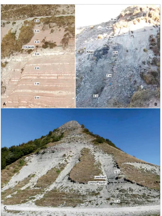 Fig 2.4. The Poggio le Guaine outcrop. A: lower part of the section from 0 to 6 m; B: section from  6 to 11 m; C:  section from 11 to 19 m