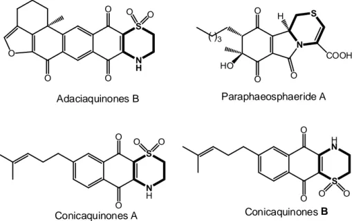 Figure 8:   Representative examples of natural products containing a 1,4-thiazine core