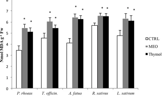 Figure 2. Malondialdehyde (MDA) content of THE five-day-old rootlets of the examined weed seeds  germinating in control (CTRL), Monarda didyma essential oil (MEO) at 0.625 μg/mL, and 59.3%  thymol solution at 0.625 μg/mL
