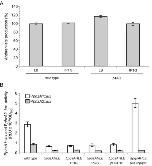 Fig  S4.  PqsE  has  negligible  effect  on  anthranilate  production  and  PphzA2  activity,  while  it  positively controls PphzA1 activity 