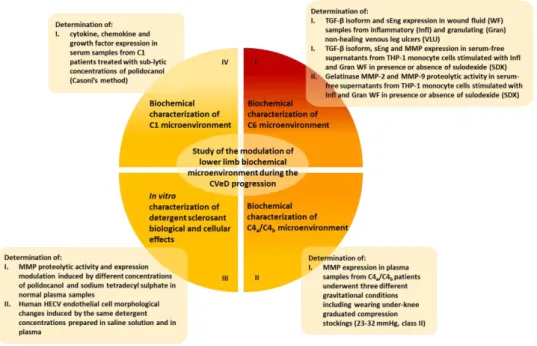 Fig. 2.1 Graphic representation of the study aims.  The graph shows the four intermediate  study aims 