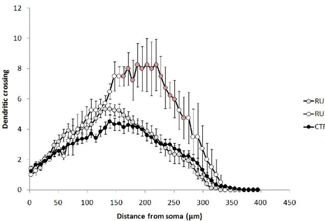 Figure  9.  Sholl  Analysis  results  showing  the  differences  between  CRTL,  RUN1  and  RUN2  cells