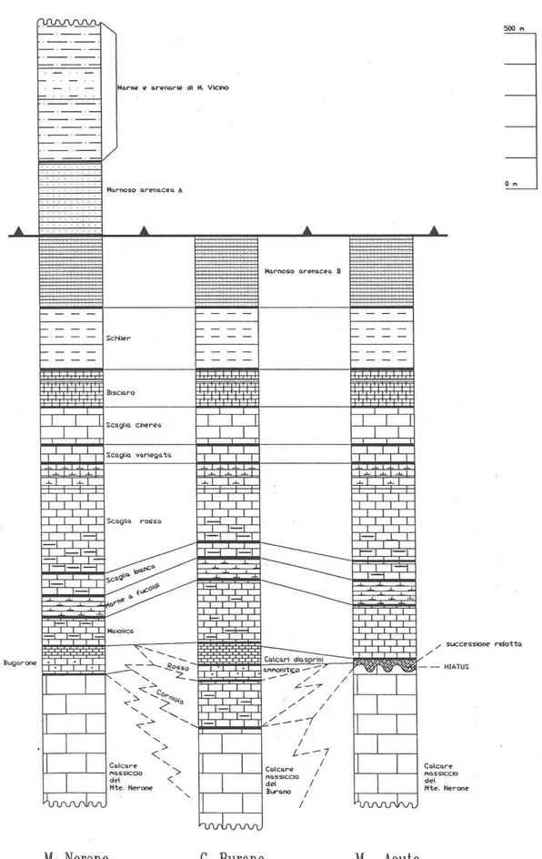 Figura 4 Schema dei rapporti stratigrafico strutturali della Successione Umbro-Marchigiana (Regione Marche, 1992) 