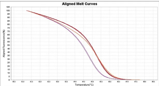 Figura 6. Rappresentazione grafica di un analisi HRM, curve di melting di tre varianti allineate allo stesso livello  di fluorescenza