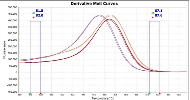 Figura 8. I dati mostrati come differenza della fluorescenza tra la curva di melting del campione di riferimento e  le altre curve