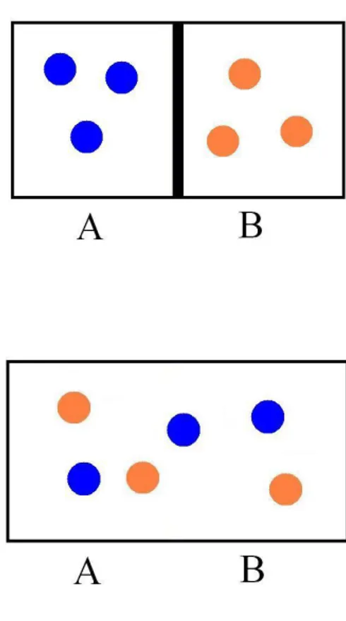 Figura 2: Illustrazione del paradosso di Gibbs con gas differenti.                                                   