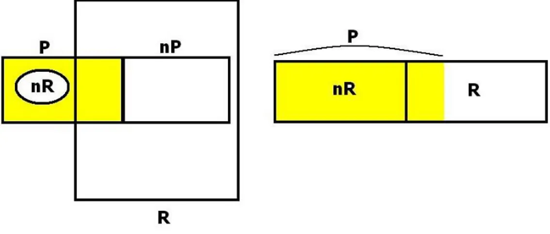 Figura 7b: Confronto tra proprietà pure (P) e impure (nP) e relazionali (R) e non relazionali (nR)