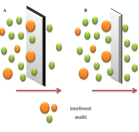 Figura 3. Schema di un’estrazione selettiva mediata da membrana monodimensionale. A) membrana a maggior spessore,  B) membrana più sottile