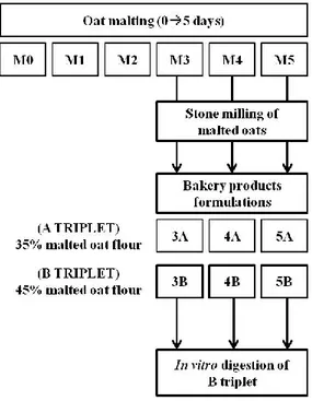 Figure 4. Flow chart summarizing the main approach to obtain malted oat-based cookies