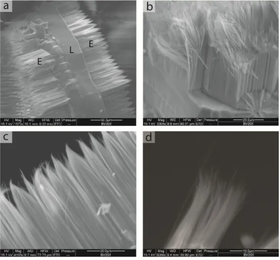 Figure 2. Electron microphotographs of erionite from BV201 sample. a) Typical erionite-levyne-erionite 