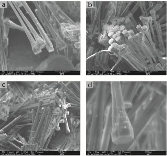 Figure 3. Electron microphotographs of erionite from MF2 sample. a) Elongated, prismatic to acicular well-