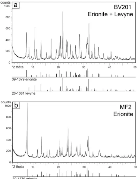 Figure 4. X-ray powder diffraction patterns produced by the BV201 (a) and FM2 (b) samples