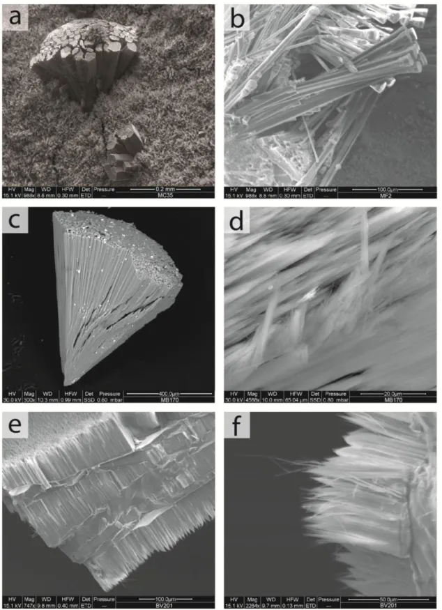Figure 3. Representative SEM images of the studied samples. a) Prismatic crystals of erionite grouped in ra-