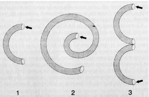 Fig. 1 Il problema dei tubi ricurvi 29   