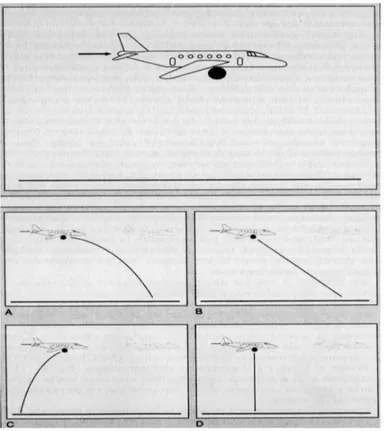 Fig. 2 Il problema dell’aeroplano e relative soluzioni proposte 32
