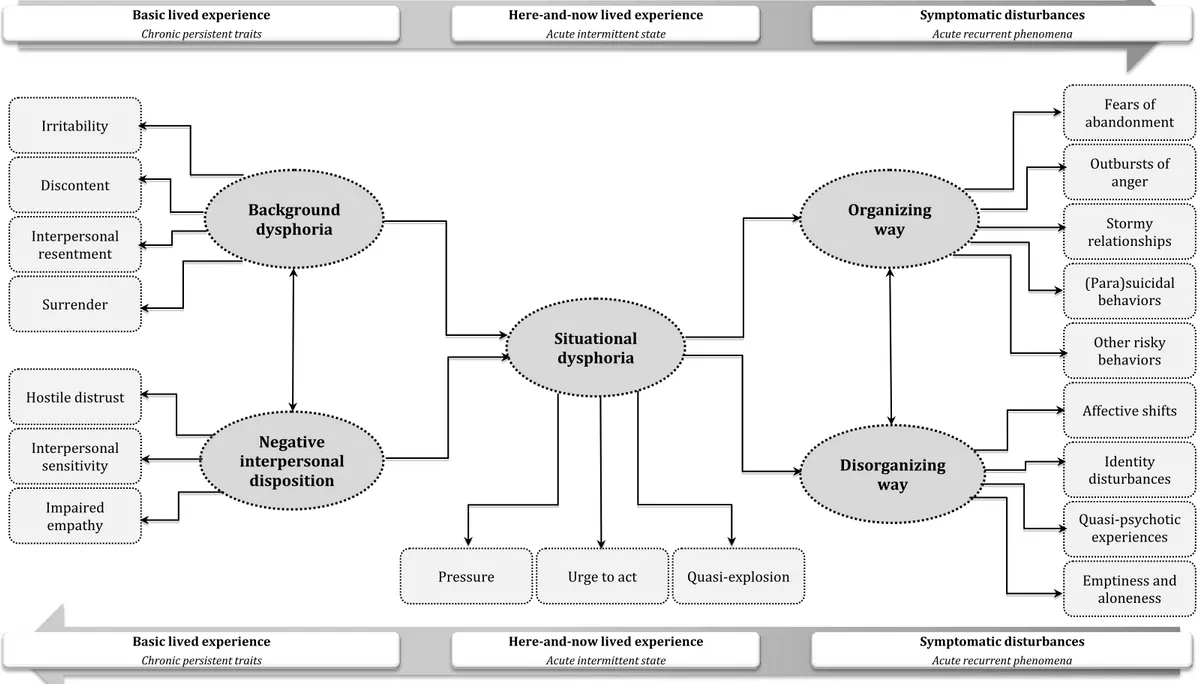 Figure 2.3. The new psychopathological-dynamic model for understanding BPD in all its components  Basic lived experience 