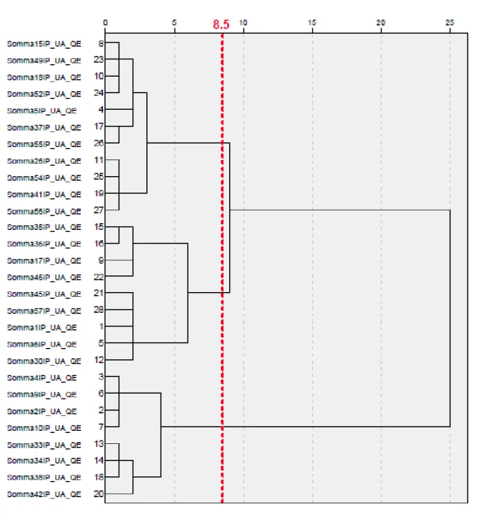 Figure 3.2.  Dendrogram using Ward’s method and showing the clustering of SITDS  