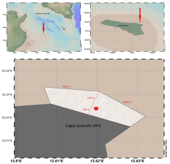 Figure 1. Top: The study area (red arrow) at two scales: top left - Lampedusa Island in the Central Mediterranean Sea; top right -  Lampedusa Marine Protected Area (red arrow)