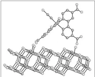 Figura 2. Ancoraggio del colorante N3 sulla superficie del biossido di titanio in fase di  anatase