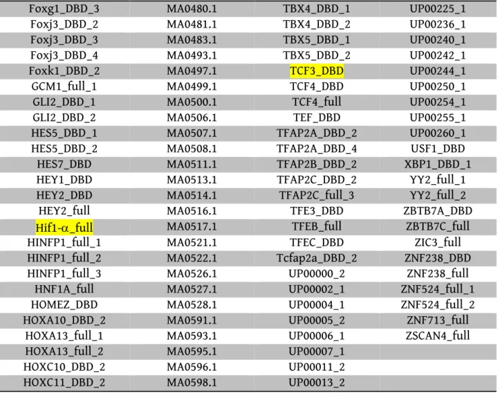 Tabella 2  WT TF id (12)  GM00648 and WT TF id (16)  CENPB_full  ETV2_DBD  E2F4_DBD_1  FOXB1_DBD_3  MA0027.1  HOXA13_DBD_1  MA0122.1  HOXB13_DBD_1  MA0137.3  HOXC10_DBD_1  MA0479.1  HOXC13_DBD_1  NFATC1_full_3  HOXD13_DBD_1  NKX2-8_full  Hoxd9_DBD_1  TEAD1