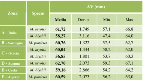 Tabella  25.  Media,  Deviazione  Standard,  Min  e  Max  della  lunghezza  dell’avambraccio  (AV)  di  tutti  gli  esemplari  catturati suddivisi per specie e gruppo geografico