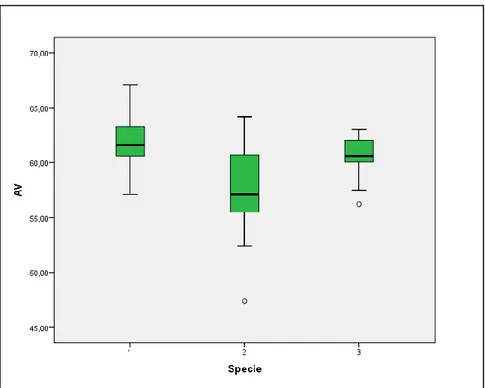 Figura 64. Statistica descrittiva della variabile AV per specie. 1: M. myotis; 2: M. blythii; 3: M