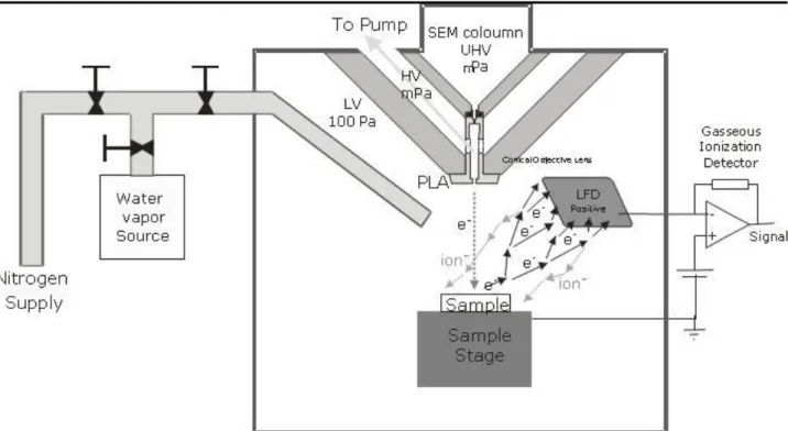 Figura 3: funzionamento schematico del microscopio ESEM. Immagine tratta da &#34;The Opensource  Handbook of Nanoscience and 