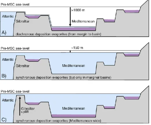 Fig.  3.2  Scenari  differenti  per  spiegare  l’ambiente  deposizionale  delle  “evaporiti  inferiori”