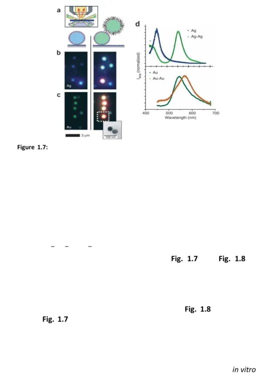 Figure  1.7:  Effect  of  coupling  of  DNA-functionalized  gold  and  silver  nanoparticles  on 
