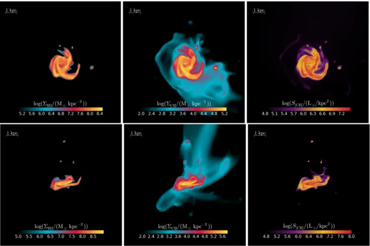 Figure 10. Face-on (upper panels) and edge-on (lower panels) z = 6 Dahlia surface maps for H 2 density (  H 2 /(M kpc −2 ) left-hand panels), C II den-