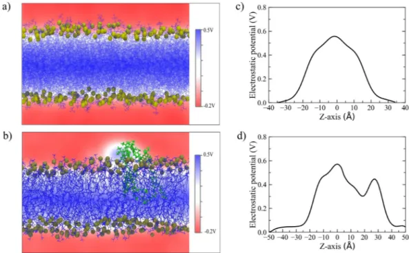 Figure 5.  2D electrostatic potential maps as issuing from MD simulations of (a) DOPC and (b) RHB Agg -DOPC  lipid bilayers evaluated on a lateral plane (i.e, XZ) of the simulation cell