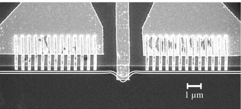 Figure  1:  SEM  micrograph  of  the  interferometer  device  with  nano-magnet  array  of  periodicity  λ  = 