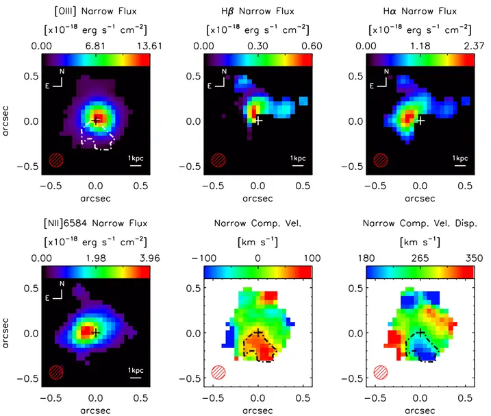 Figure 6. Maps of the narrow emission lines resulting from the spectral fitting. TOP, from left to right the panels show the fluxes of [O iii] Hβ and Hα.