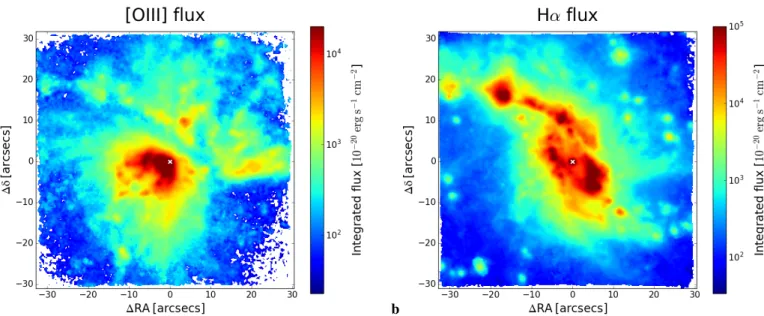 Fig. 3. Panel a : [O iii] and panel b: Hα emission of the total fitted line profile. Both maps have been obtained from the fit of the star-subtracted