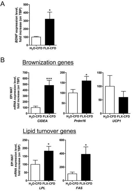 Figure 3.  FLX affects hypothalamic expression of BDNF and modifies WAT expression profile