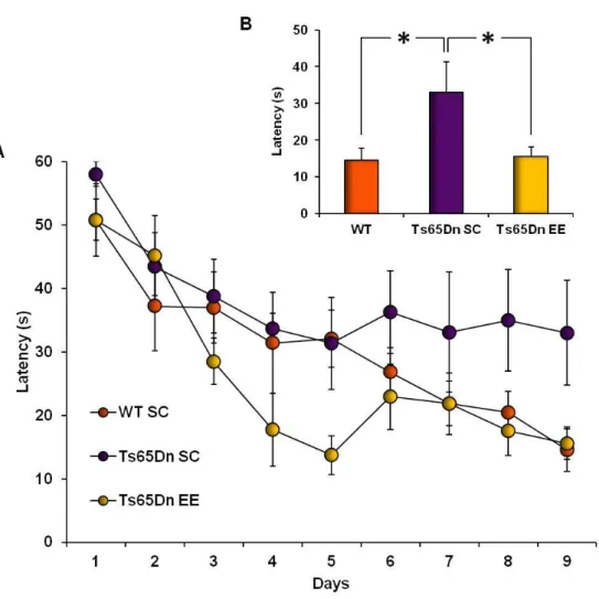 Figure 1. Environmental enrichment promotes spatial learning in Ts65Dn mice. (A) Learning curves for WT (orange),  Ts65Dn-SC (violet) and Ts65Dn-EE (yellow)