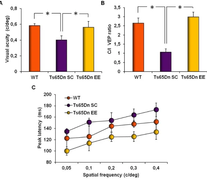 Figure  4.  Restoration  of  visual  functions  in  Ts65Dn  mice  by  environmental  enrichment