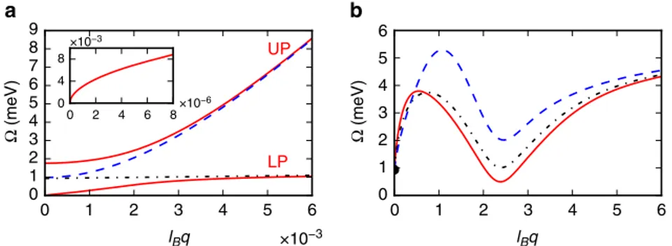 Figure 3 | Collective excitation spectrum of the homogeneous ﬂuid phase. (a) Dispersion relations of upper and lower dressed polariton modes (solid lines) in the long-wavelength q‘ B oo1 limit