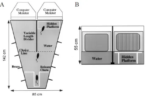Fig.  1:  Schematic  diagram  and  components  of  the  visual  water  box.  (A)  View  from  above  showing  the  major 