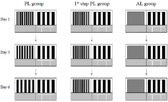 Fig.  2:  Schematic  diagram  for  the  PL  task.  Examples  of  stimuli  discrimination  for  each  group  are  shown  (PL 