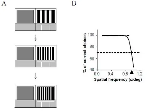 Fig. 3: (A) Examples of steps in the assessment of VA. (B) For the testing phase small incremental changes in 