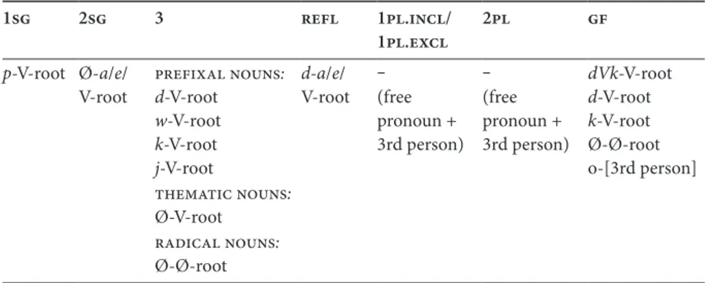 Table 5 illustrates the Chamacoco possessive inflection, with (28) as an example.  It is useful to compare Table 5 with the data on verb inflection and free pronouns  listed in Table 6, where the phonemes shared with the corresponding noun prefixes  are in
