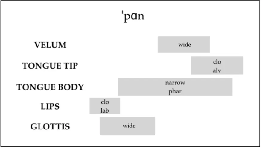 Figure 2.2: The gestural score for the English word “pawn”, based on Browman and Goldstein (1995)