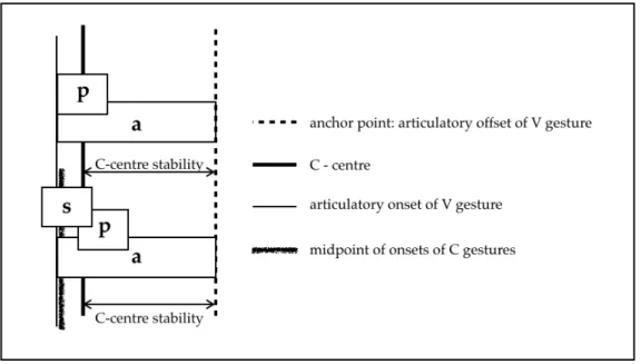 Figure 3.4. Schematisation of C-centre stability and the gestural timing between nucleus and the complex onset: the 