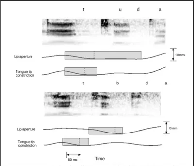 Figure 3.7: Adapted from Goldstein et al. (2006). The upper panel shows an in-phase coordination between tongue 