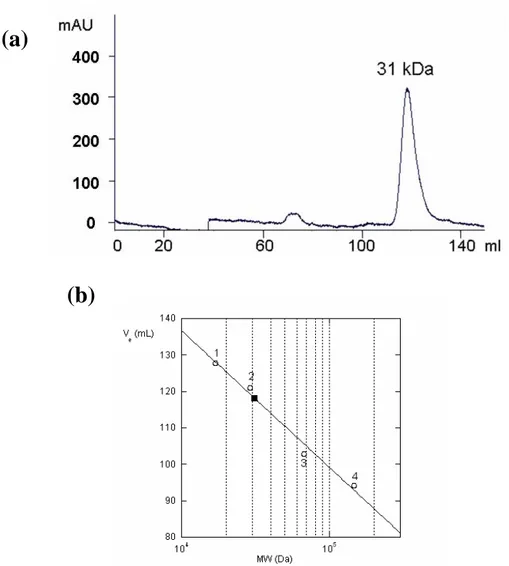 Figure 2.6.. Size exclusion chromatography. (a) Elution profile of DLL4_IC on a Sephacryl S-200 column  (elution  buffer:  50  mM  Tris-HCl,  100  mM  KCl,  pH  7.4)