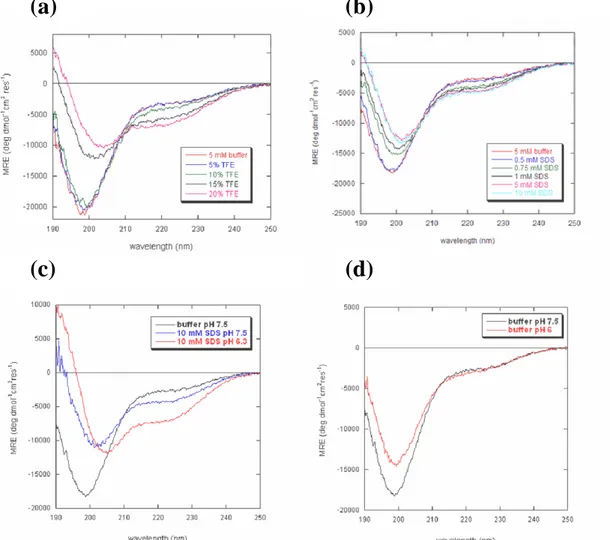 Figure 2.7. Circular dichroism. Far-UV CD spectra of DLL4_IC (7.6 µM) in 5 mM Tris-HCl buffer, 1 mM  TCEP, pH 7.5, and in the presence of increasing concentrations of TFE (5, 10, 15, 20 %, v/v) (a) or SDS  (b) or at different pHs  in the presence (c) or ab