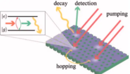 Fig. 1. (Color online) Sketch of a QED-cavity array. It consists of a regular arrangement of QED cavities