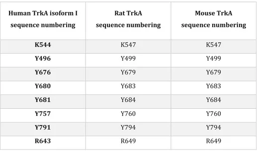 Table 1.1. List of corresponding TrkA residues mentioned in the human, rat and mouse sequences