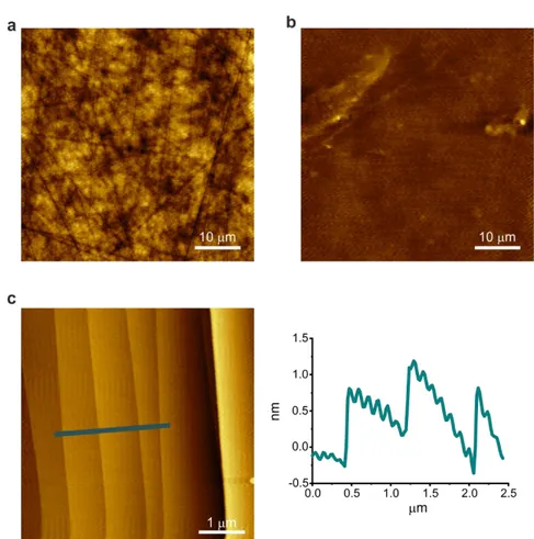 Fig.  2.5.  AFM  images  of  4H-SiC  wafer.  (a,b)  Before  and  (c)  after  hydrogen  etching